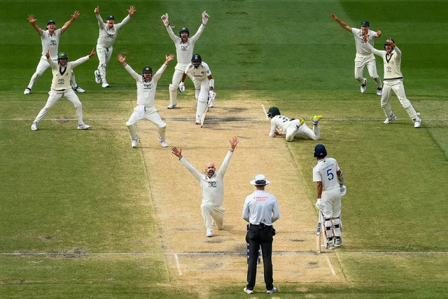 Pickle Juice for Cricket: Beating Cramp Through a Long Day in the Field