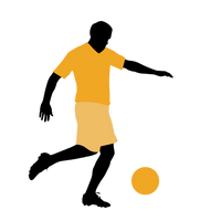 Trusted by Professionals