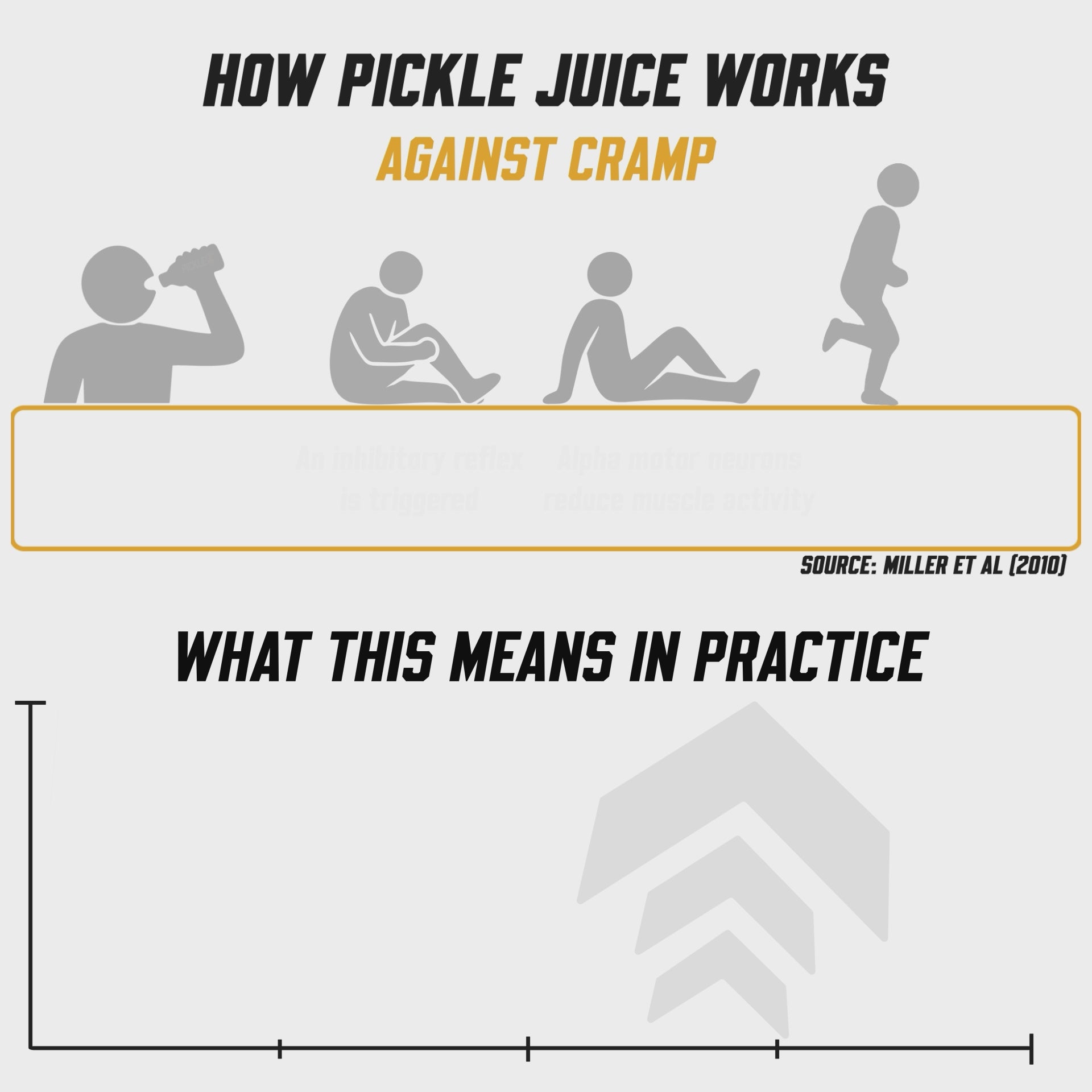 PickleUp Pro Shot - Pineapple.
